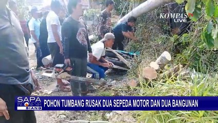 Pohon Tumbang Rusak 2 Motor dan 2 Bangunan di Bali