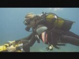 Inspection d'epave sous marine