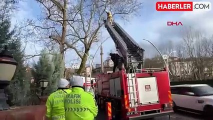 Bartın'da İplere Takılan Karga İtfaiye Tarafından Kurtarıldı