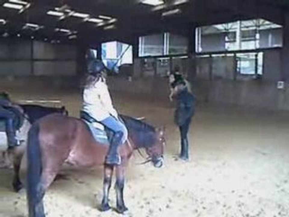 Sixtine montage chevaux