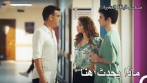 يتبادل علي وجيمريه القبلات - مسلسل الياقة المغبرة 7