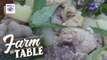 How to Make Ilocano Tinola | Farm To Table