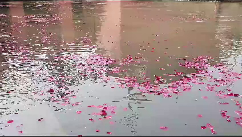 राम मंदिर उद्घाटन पर पुष्पवर्षा में लाल हुई सरयू