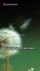 Unleash Your Potential - Dare to Dream