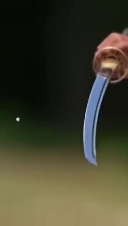 Katana Vs Bullet