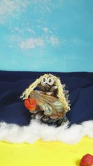 Aphrodite - Professeur Pin