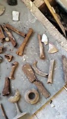 Durante remodelações em casa de banho, descobre ossos debaixo do chão