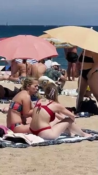 _Sunny_day_at_Barcelona_beach(360p)