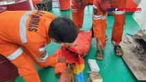 Kapal LCT Bora V Hilang di Perairan Sulawesi, Basarnas Temukan Life Raft hingga Kursi