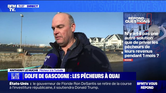 Pourquoi les pêcheurs du golfe de Gascogne doivent rester à quai pendant un mois? BFMTV répond à vos questions