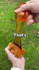 One Day, Albert Einstein joke... #jokes #funny #shorts