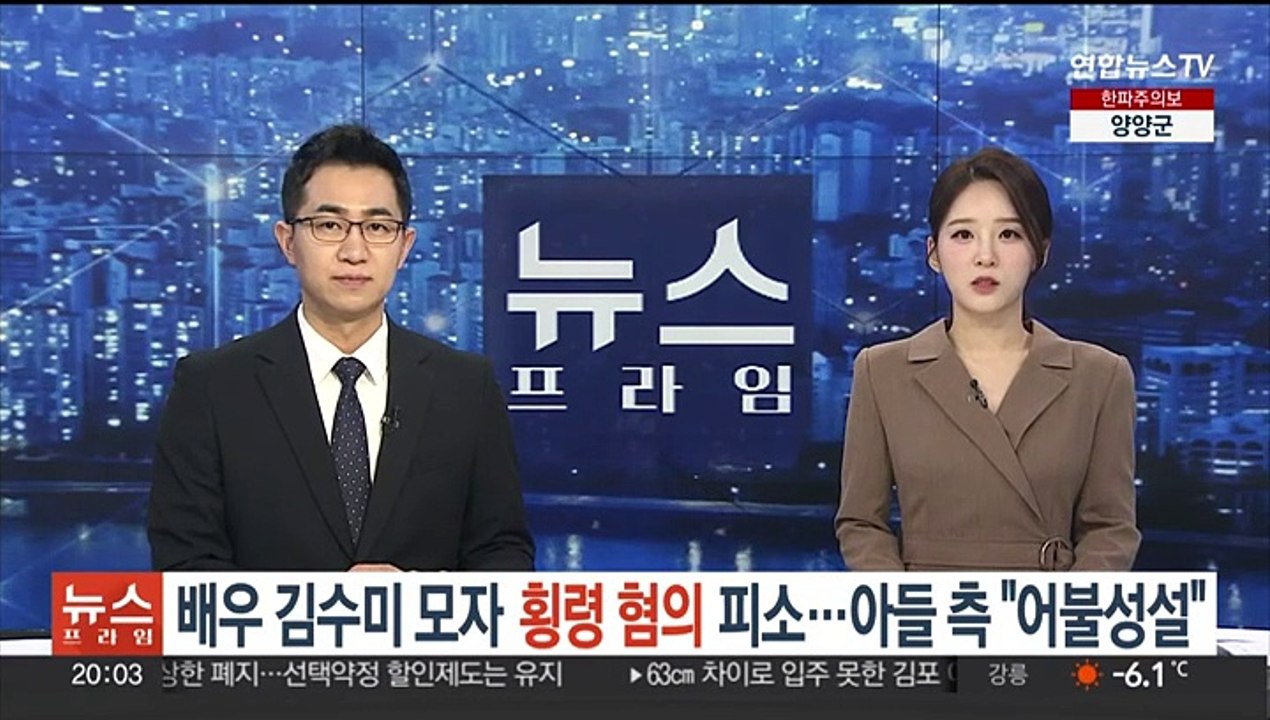 배우 김수미 모자 '횡령 혐의' 피소…아들 측 "어불성설"