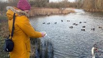 Volunteers at Boldon Pond