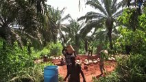 Benin Turns to Biogas To Power Communities