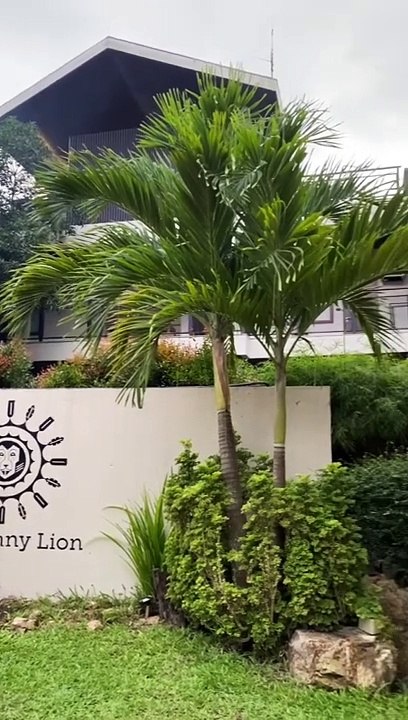 The Funny Lion, Coron, Palawan