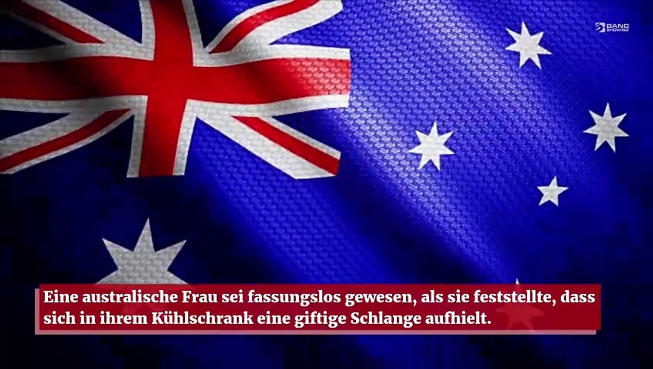 Australien: Frau findet giftige Schlange in ihrem Kühlschrank