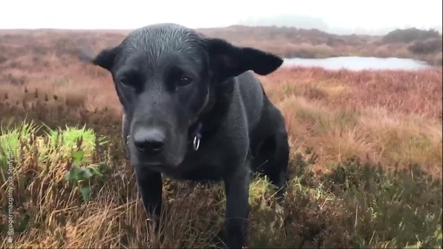 Storm Isha tears through UK with gusts of up to 99mph