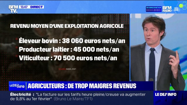 Un agriculteur sur cinq en France ont un deuxième emploi pour arrondir leurs fins de mois, à cause de revenus trop bas