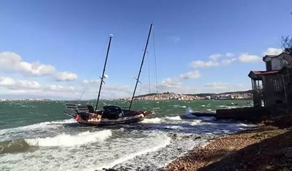 Ayvalık'ta şiddetli fırtınada halatı kopan yelkenli tekne karaya oturdu