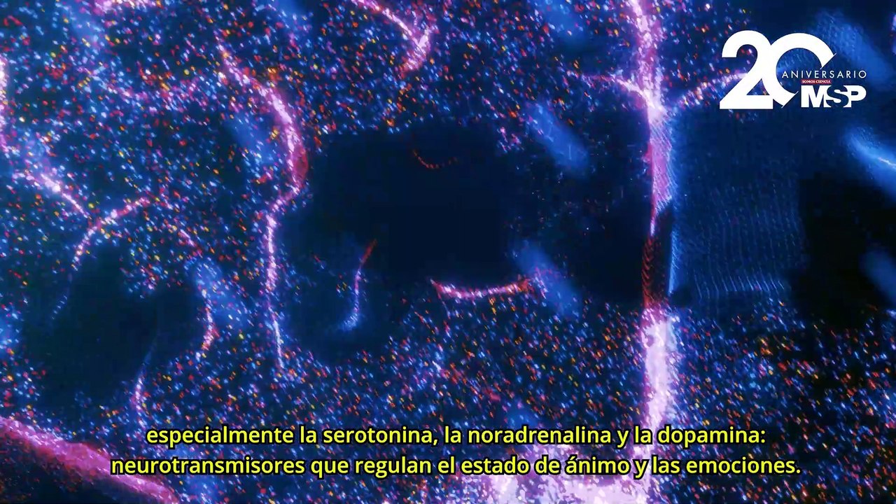 Lucha contra la depresión: ¿Cómo se refleja o cambia la depresión al cuerpo? - #ExclusivoMSP