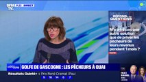 N'y a-t-il pas une autre solution que de priver les pêcheurs de leurs revenus pendant un mois ? BFMTV répond  à vos questions