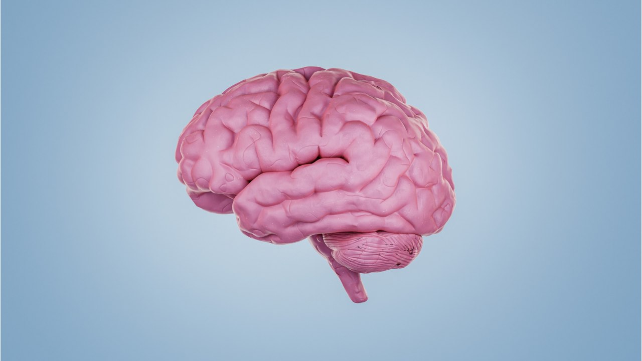 Study reveals what happens in your brain right before you die