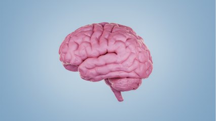 Study reveals what happens in your brain right before you die