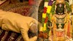 মোদীর পৌরহিত্যেই অযোধ্যায় প্রাণপ্রতিষ্ঠা হল রামলালার! ১১ দিনের উপবাস ভাঙলেন প্রধানমন্ত্রী