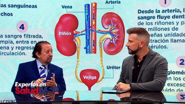 Nefrología y salud renal: alimentación ideal para cuidar los riñones - #ExpertosEnSalud