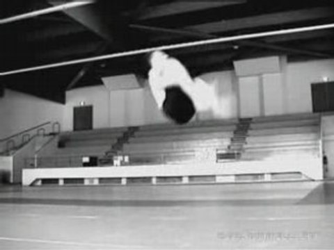 Cyril Raffaelli salto yamakasi ouf sport gym banlieu 13