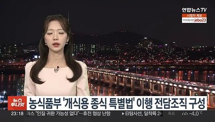 농식품부 '개식용 종식 특별법' 이행 전담조직 구성