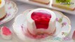 Mini Fruit Jelly Cakes  / Yogurt Cheesecake