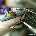 Amazon basics 14 plate dishwasher machine while washing inside and working