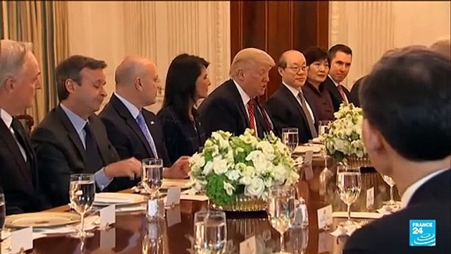 Who is Nikki Haley, Trump’s last rival in Republican primaries?