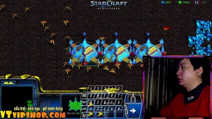 Starcraft 0401 2024 (4)