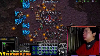 Starcraft 0401 2024 (2)