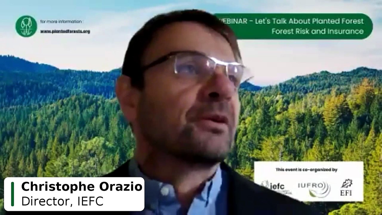 Webinar - Forest Risk and Insurance