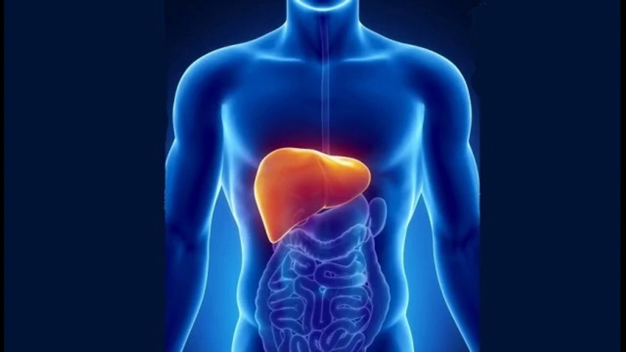Steatosis - How to get rid of fatty liver?