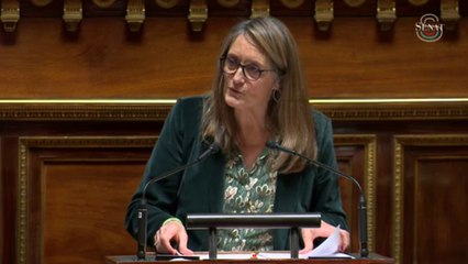 Accord commercial UE-Mercosur : la sénatrice Sophie Primas dénonce "un rouleau compresseur agricole"