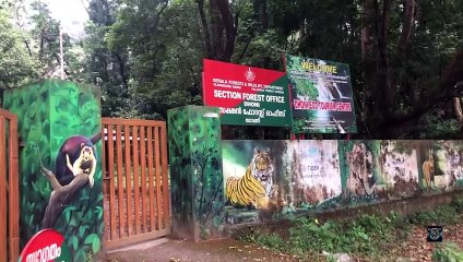 ധോണി വെള്ളച്ചാട്ടത്തെ കുറിച്ച് ഇത് നിങ്ങൾക്കറിയാമോ ?