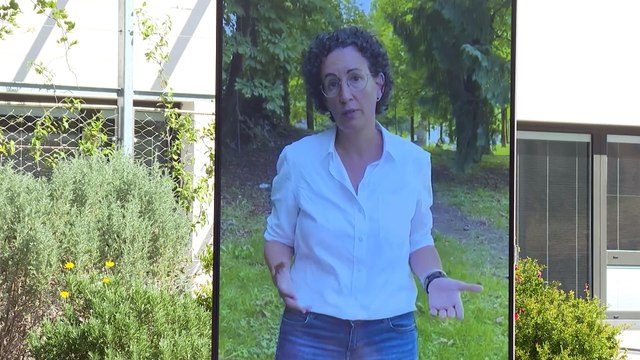 TS pide a Fiscalía que informe sobre la petición de García Castellón de investigar a Puigdemont