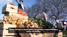 Protesta degli agricoltori: 49 spaventapasseri fuori da Parlamento UK