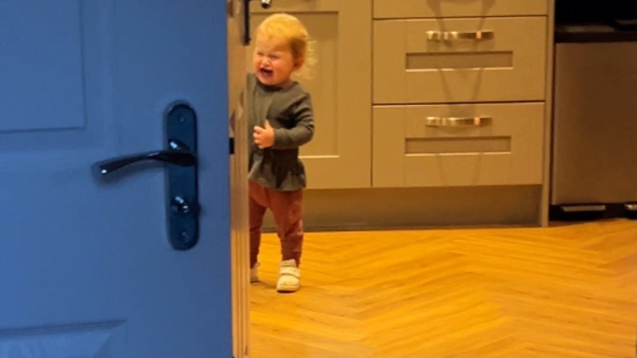 Toddler craving a biscuit wafer lets her emotions take the wheel