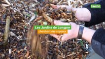 Les Jardins de Longpre cherchent des copeaux
