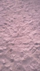 Belvedere in Schwyz 🏞️