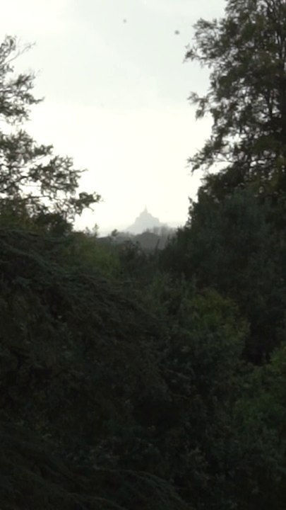 La vue sur le Mont Saint Michel du Château de Chantore - Professeur Pin