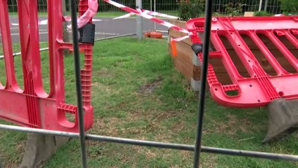 Fears post-flood construction boom linked to fire ant detection in Wardell, NSW