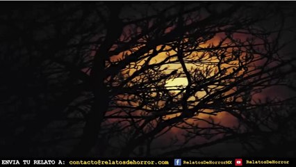 HISTORIAS SOBRE BRUJAS (RECOPILACION VI)