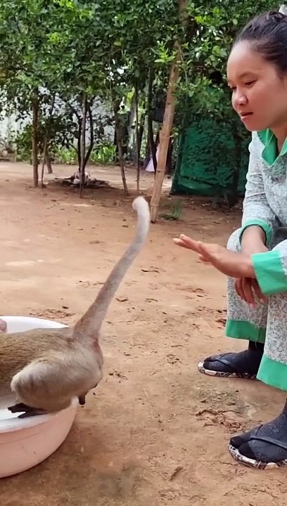 The monkey is angry