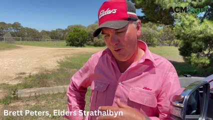 Strathalbyn market - Stock Journal - January 19, 2023